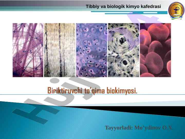 Kollagen oqsilining biologik ahmiyati va strukturasi