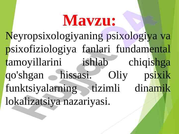 Neyropsixologiyaning fundamental tamoyillari