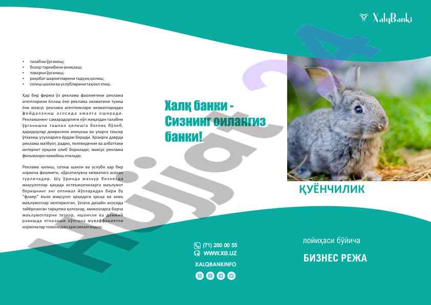 Reklama faoliyatlari bo'yicha biznes reja