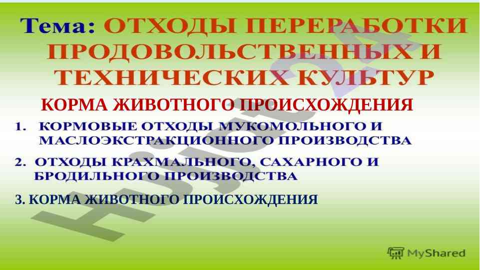 Корма животного происхождения исследование