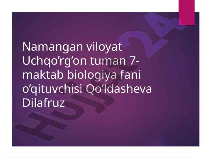 Kök kaptarning tashqi tuzilishi va asrash