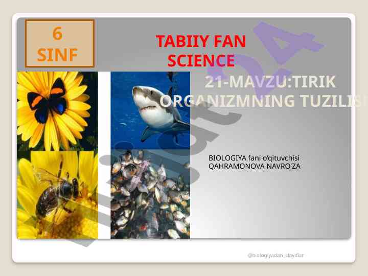 Tirik organizmning tuzilishi va taksonomik guruhlar