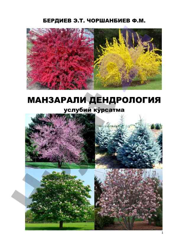Manzarali dendrologiya kurs ishiga usuliy ko'rsatma