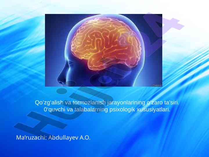 Bosh miya jarayonlarining o‘zaro ta’siri