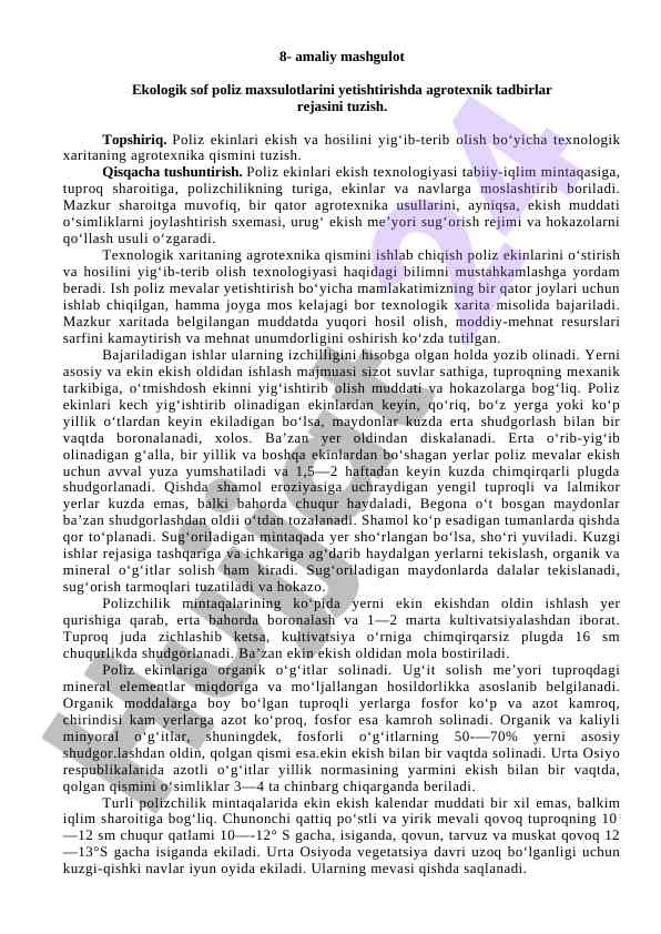 Agrotexnika rejasi poliz ekinlari yetishtirish uchun