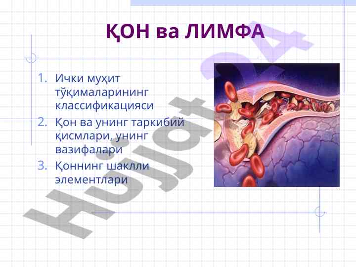 Қон ва лимфа ички муҳит тўқималарининг классификацияси