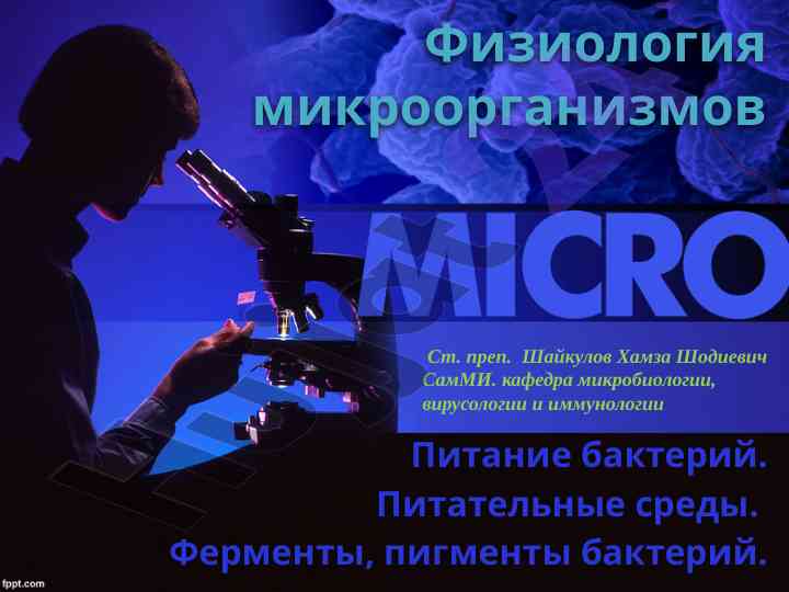 Физиология микроорганизмов и питание бактерий
