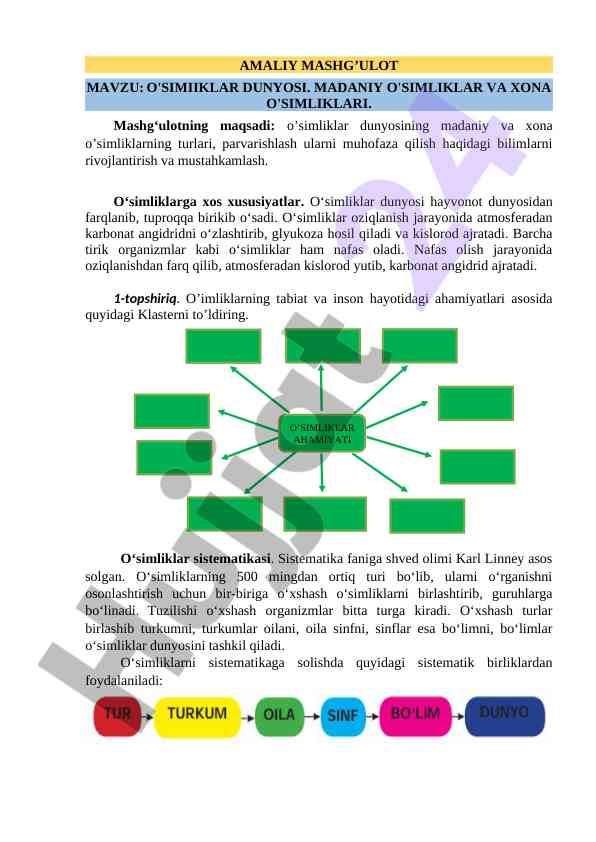 O'simliklar dunyosining madaniy o'simliklari