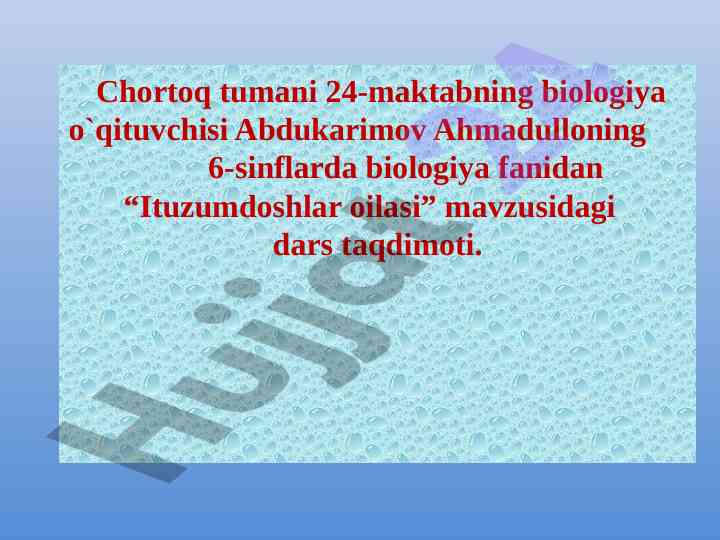 Ituzumdoshlar oilasi bo‘yicha dars taqdimoti