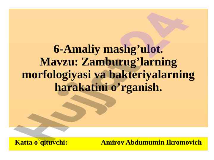 Zamburug’larning morfologiyasi va bakteriyalarning harakati