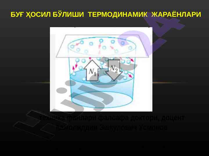 Suv bo‘g‘lari va tashqi xususiyatlarining tahlili