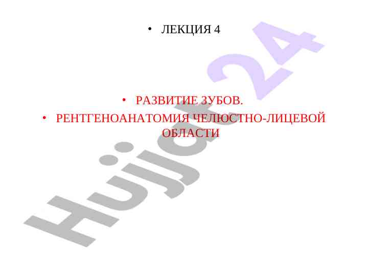 Развитие зубов и рентгеноанатомия челюстно-лицевой области