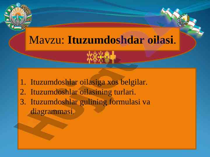 Ituzumdoshlar oilasiga xos belgilar va turlari