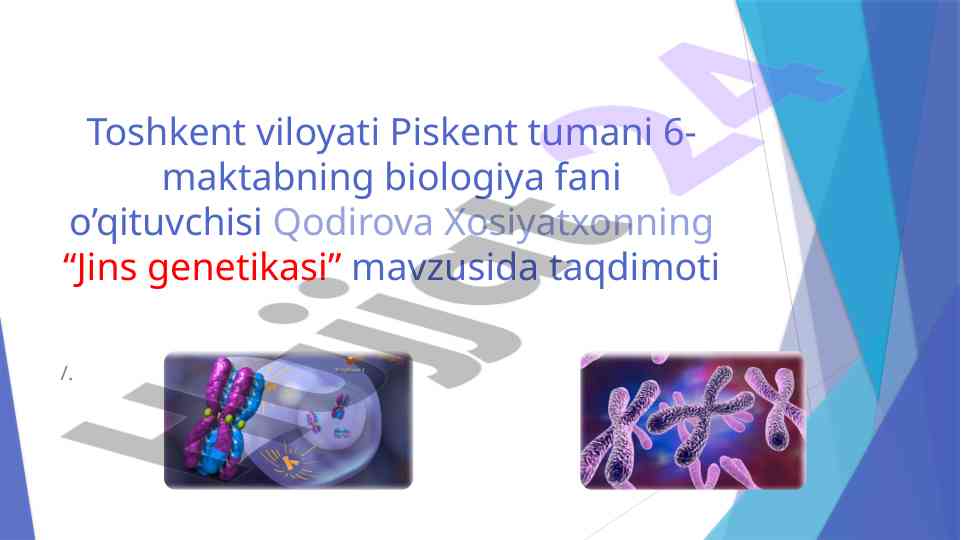 Jins genetikasi mavzusida taqdimot