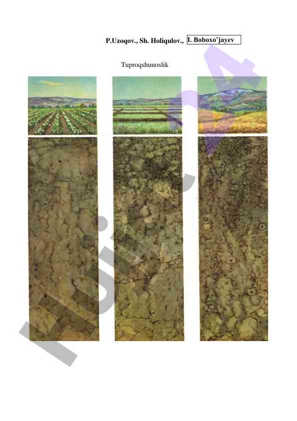 Tuproqshunoslik darsligi agronomiya talabalari uchun