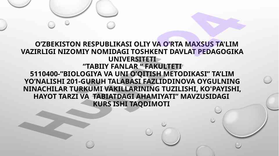 Ninachilar turkumi vakillarining hayot tarzi