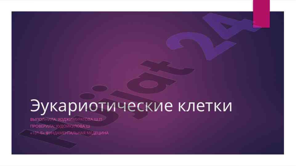 Эукариотические клетки и их основные части