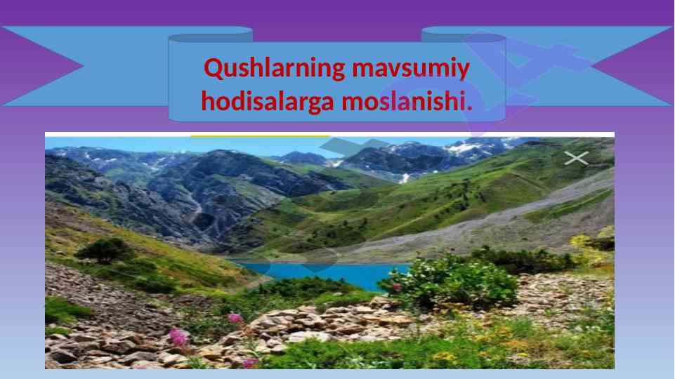 Qushlarning mavsumiy hodisalarga moslanishi
