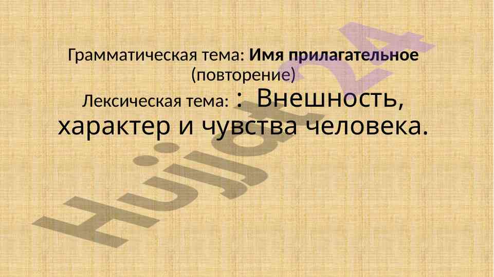 Имена прилагательные в русском языке
