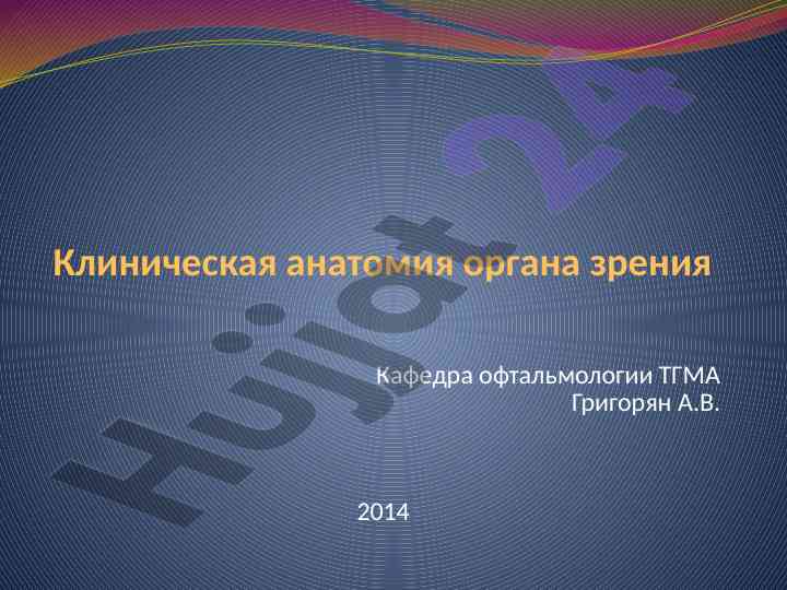 Клиническая анатомия органа зрения
