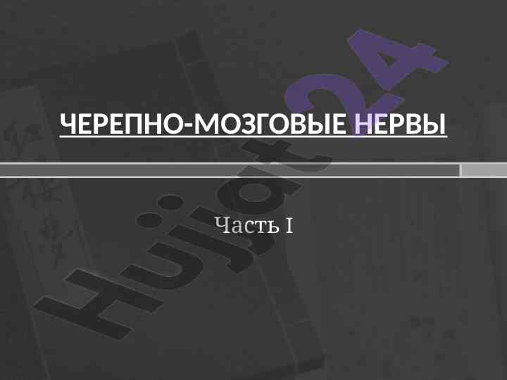 Черепно-мозговые нервы обзор и их функции