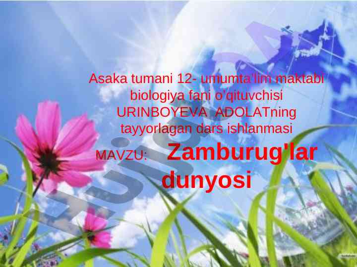 Zamburug'lar dunyosi mavzusida dars ishlanmasi