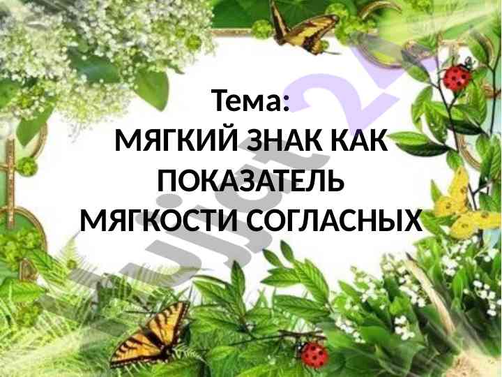 Мягкий знак как показатель мягкости согласных