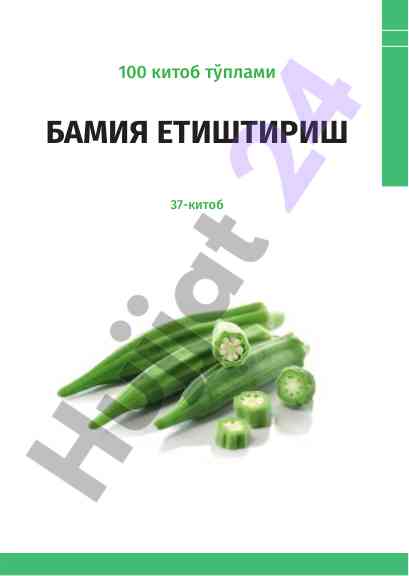 Bamiyalarni etyishtirish bo‘yicha yetakchi tavsiyalar