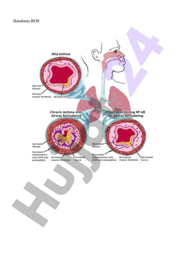 Management and treatment of broncho-obstructive syndrome