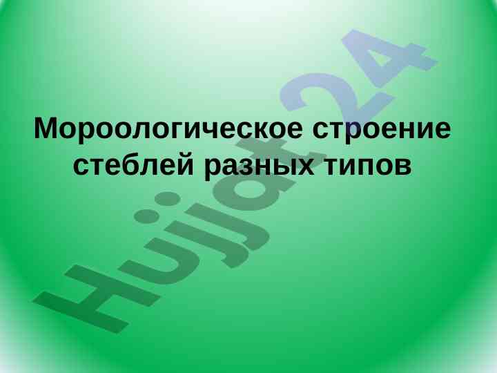 Morologicheskoye stroenie stebley raznyx tipov