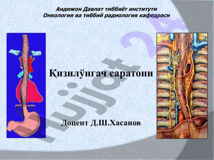 Қизилўнгач саратони анатомияси ва меҳнатлари