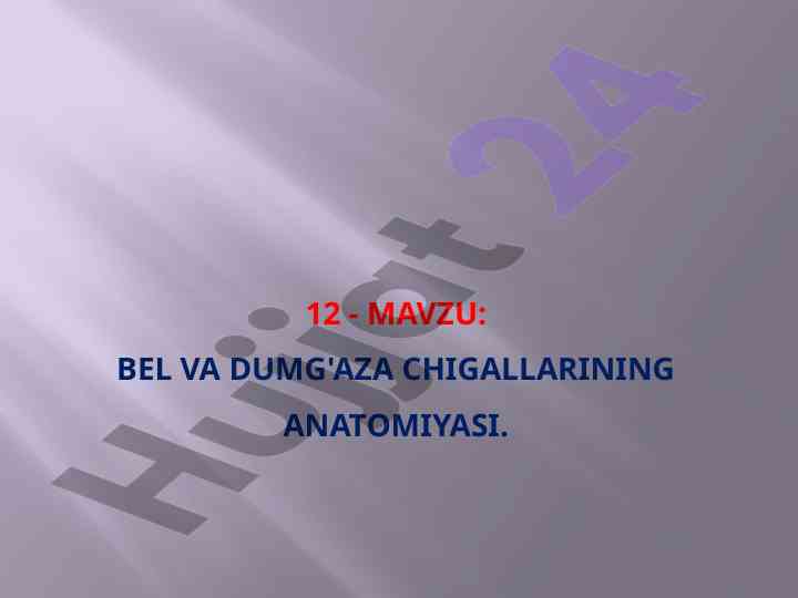 Bel va dumg'aza chigallarining anatomiyasi