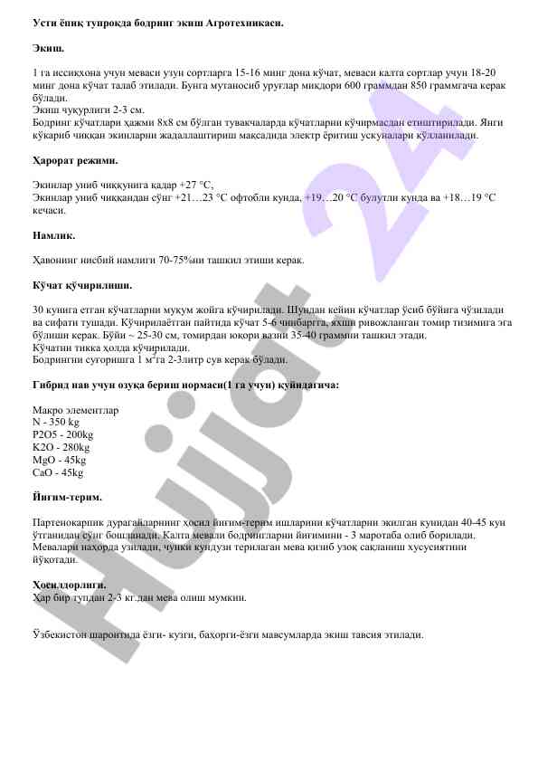 Bodring ekish aгротехникаси вa умумий шартлар