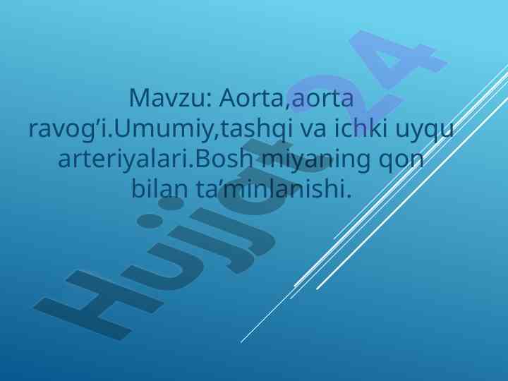 Aorta va aorta ravog'i qon tomirlari tahlili