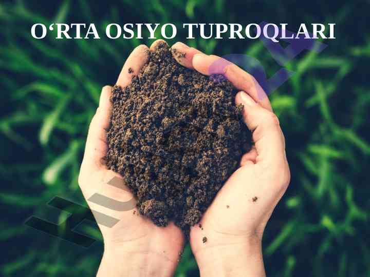 O‘rta osiyo tuproqlari va ularning turlari