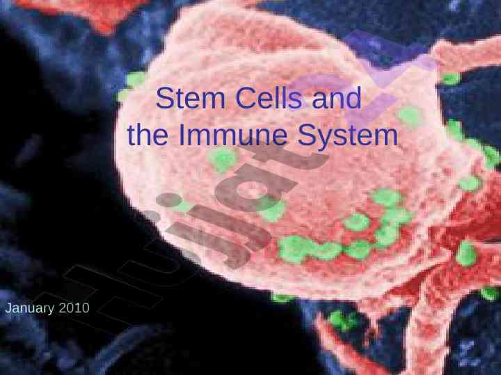 Stem cells and the immune system overview