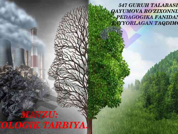 Ekologik tarbiya va muammolari taqdimoti