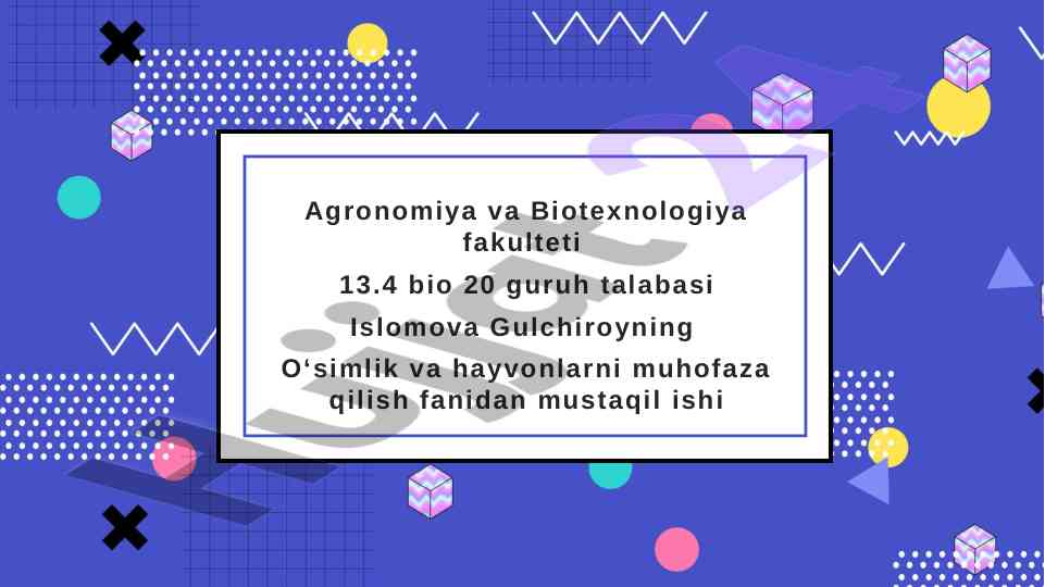 Noyob turlar va ularning muhofazasi