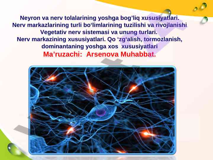 Neyron va nerv tola xususiyatlari yoshga bog‘liq