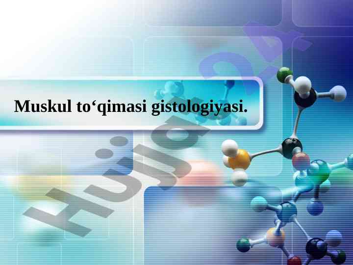 Muskul to‘qimasi gistologiyasi va turlari
