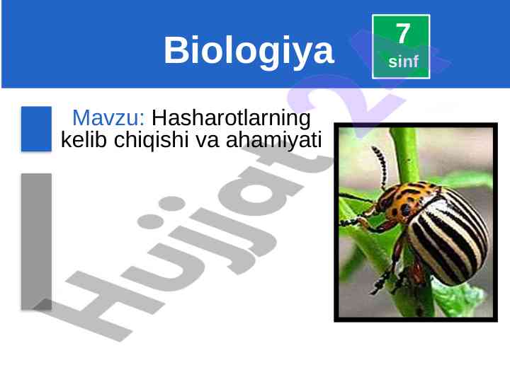 Hasharotlarning kelib chiqishi va ahamiyati