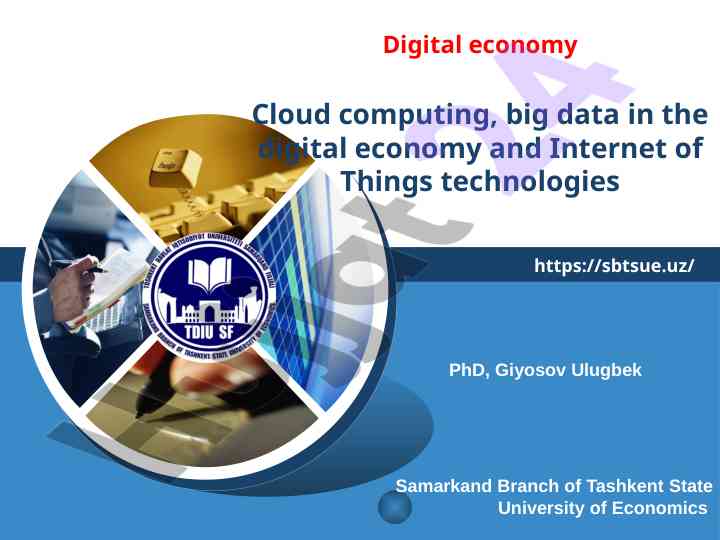 Cloud computing and big data in digital economy