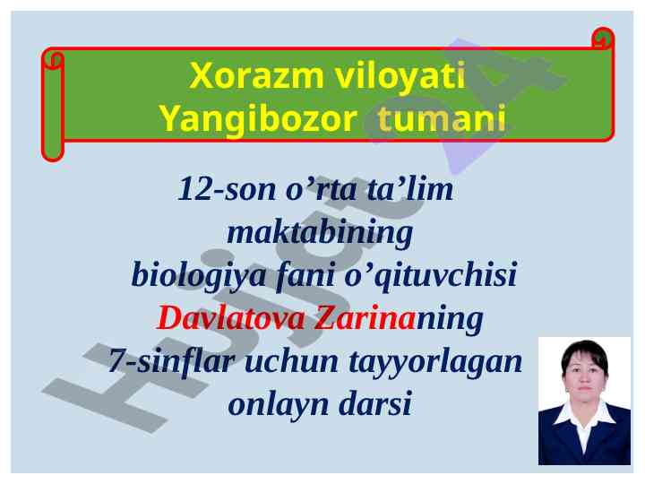 Onlayn dars: qo’lqanotlilar va kemiruvchilar