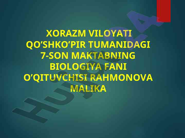 Qovoqdoshlar oilasi haqida ma'lumotlar
