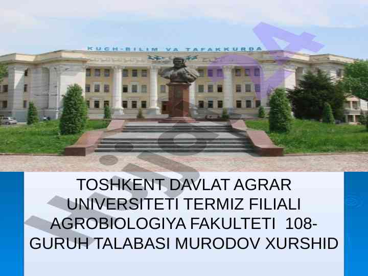 Tinish belgilari va ularning qo‘llanilishi