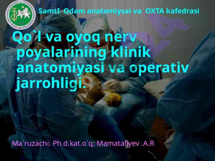 Klinik anatomiyasi va operativ jarrohligi