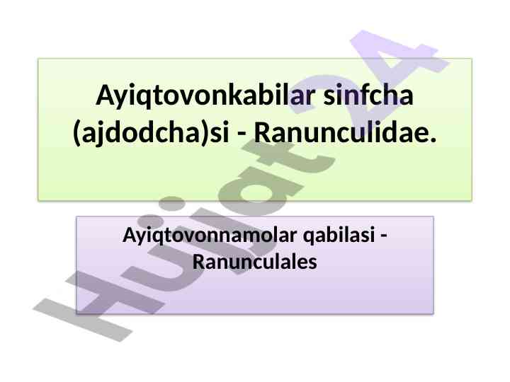 Ayiqtovonkabilar sinfcha va o'zbekiston o'simliklari