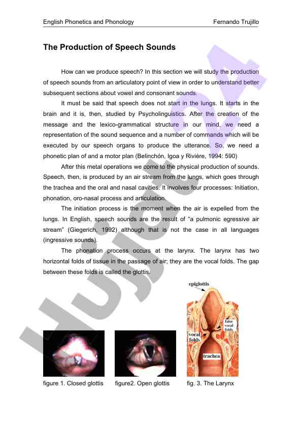 Production of speech sounds in english phonetics