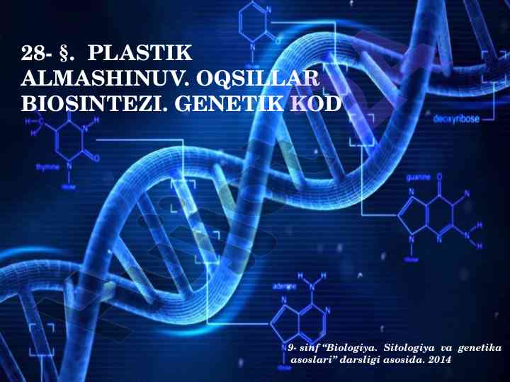 Plastik almashinuv va genetik kod asoslari