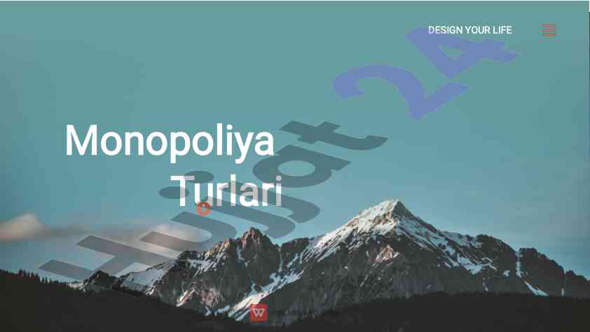 Turlari va asoslari monopoliya shakllari